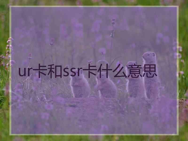 ur卡和ssr卡什么意思