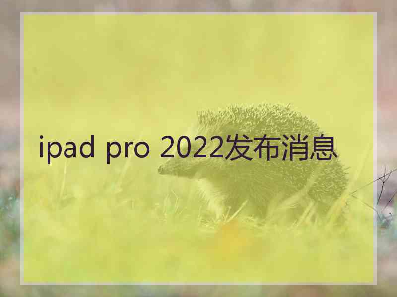 ipad pro 2022发布消息