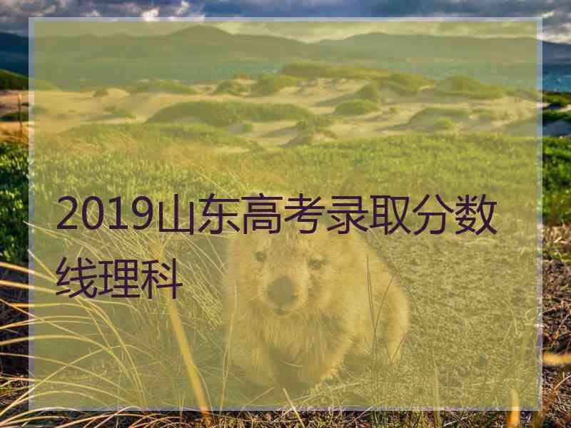 2019山东高考录取分数线理科