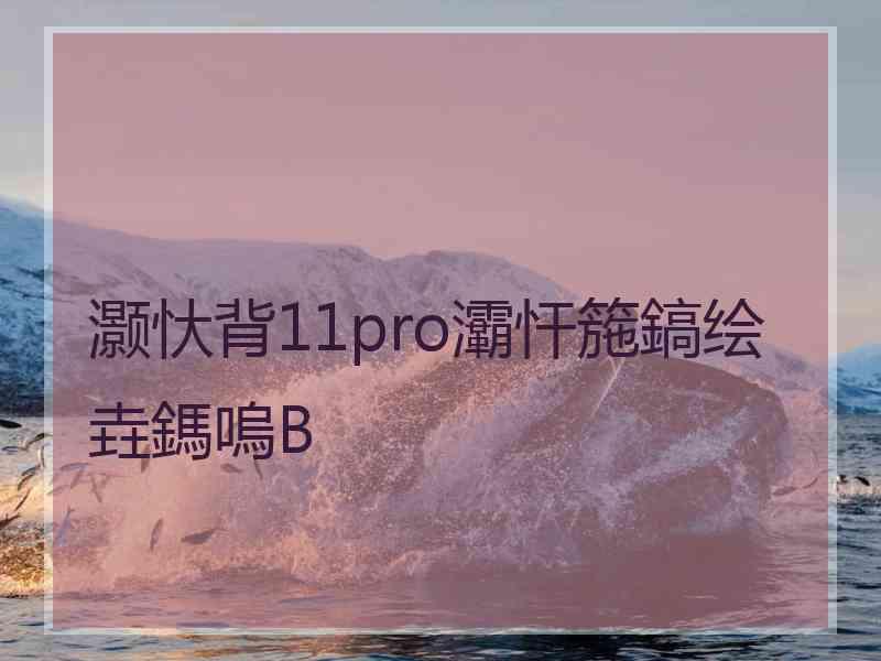 灏忕背11pro灞忓箷鎬绘垚鎷嗚В