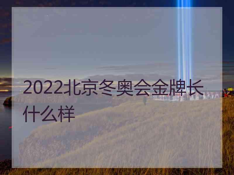 2022北京冬奥会金牌长什么样