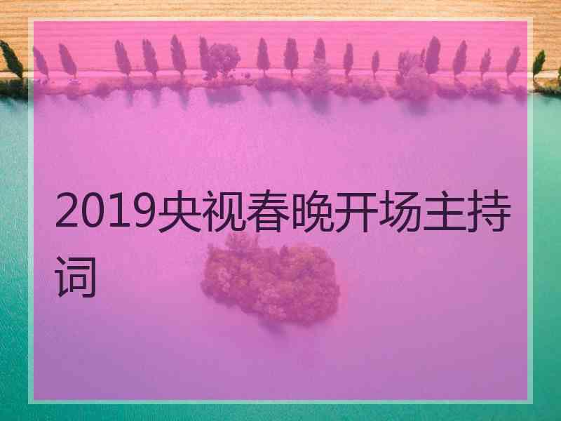 2019央视春晚开场主持词