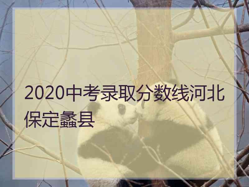 2020中考录取分数线河北保定蠡县