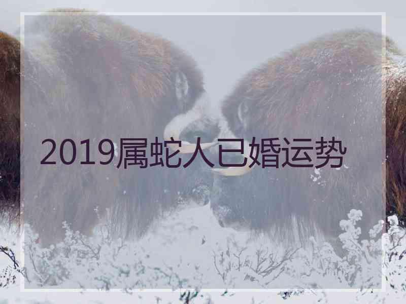 2019属蛇人已婚运势