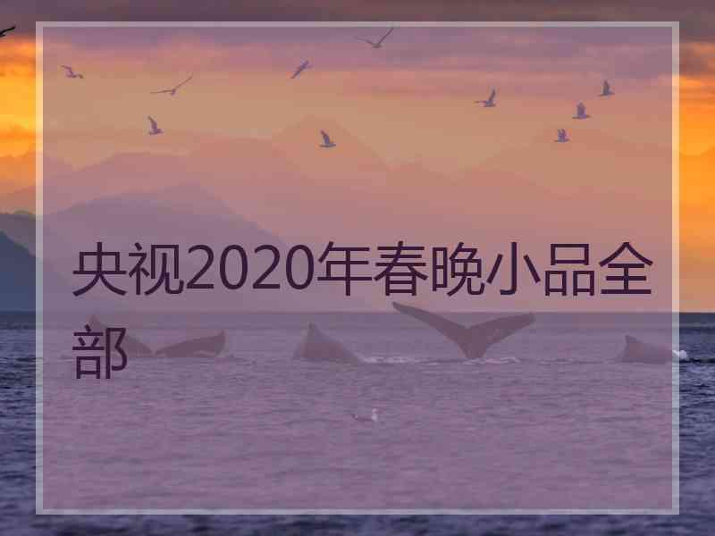 央视2020年春晚小品全部