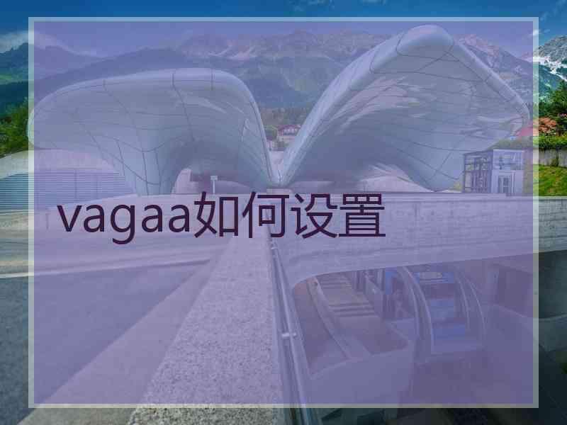 vagaa如何设置