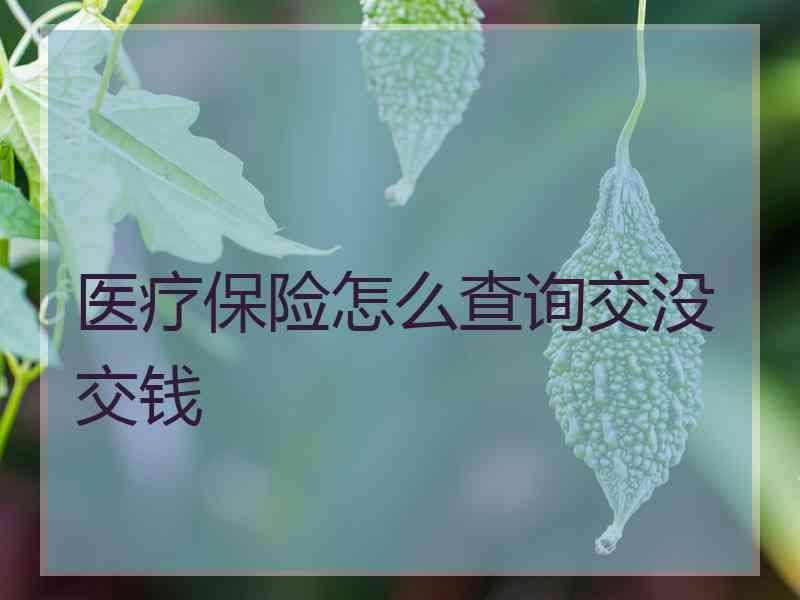 医疗保险怎么查询交没交钱