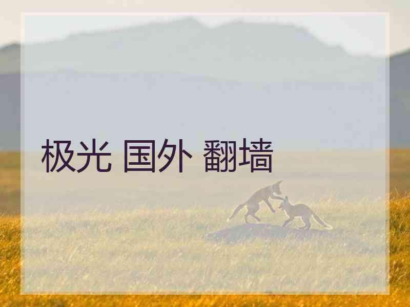 极光 国外 翻墙