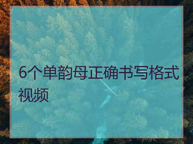 6个单韵母正确书写格式视频