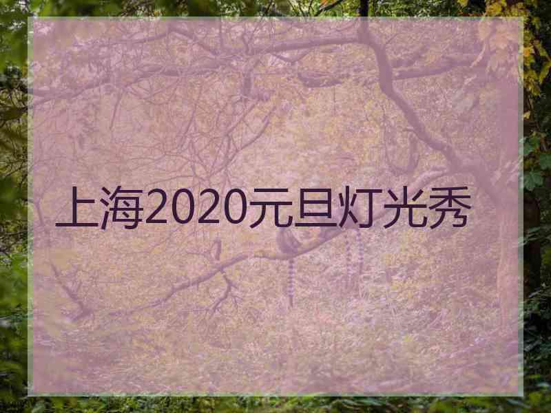 上海2020元旦灯光秀