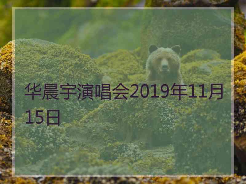 华晨宇演唱会2019年11月15日