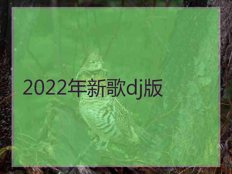 2022年新歌dj版