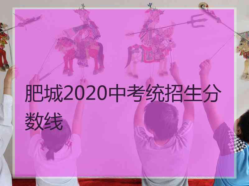 肥城2020中考统招生分数线