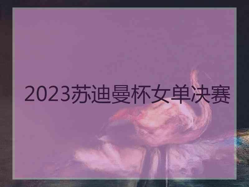 2023苏迪曼杯女单决赛