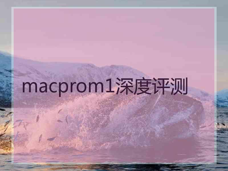 macprom1深度评测