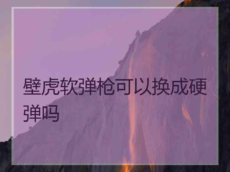 壁虎软弹枪可以换成硬弹吗