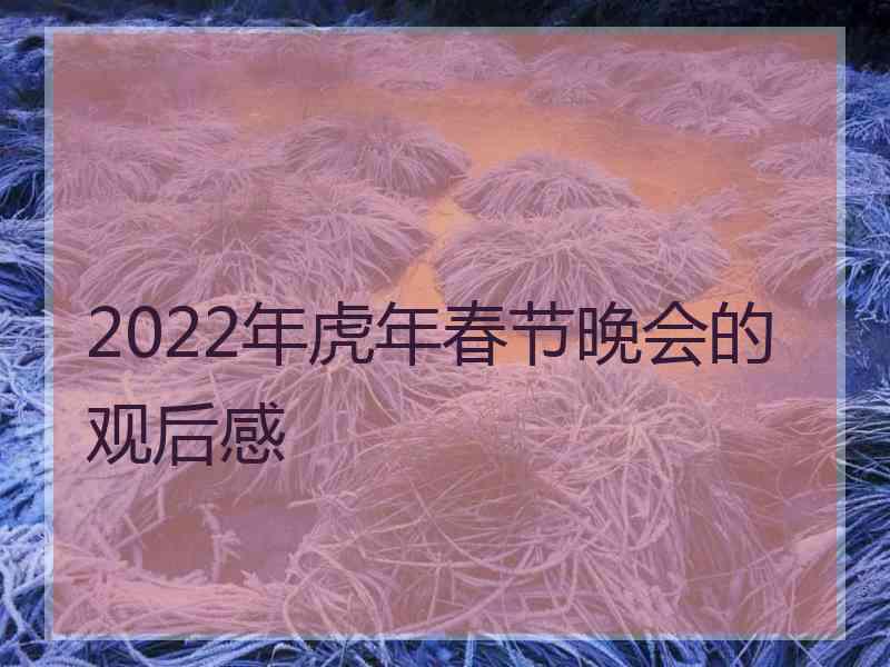 2022年虎年春节晚会的观后感