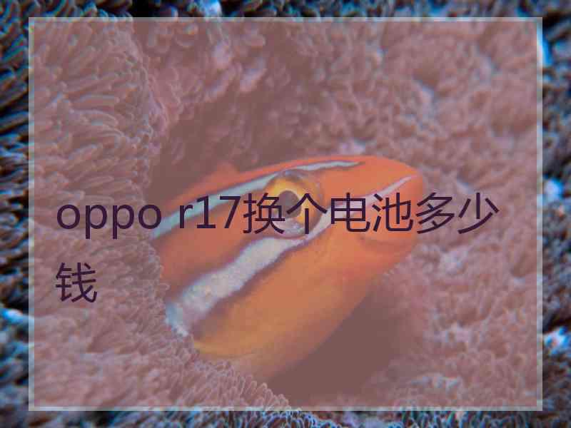 oppo r17换个电池多少钱