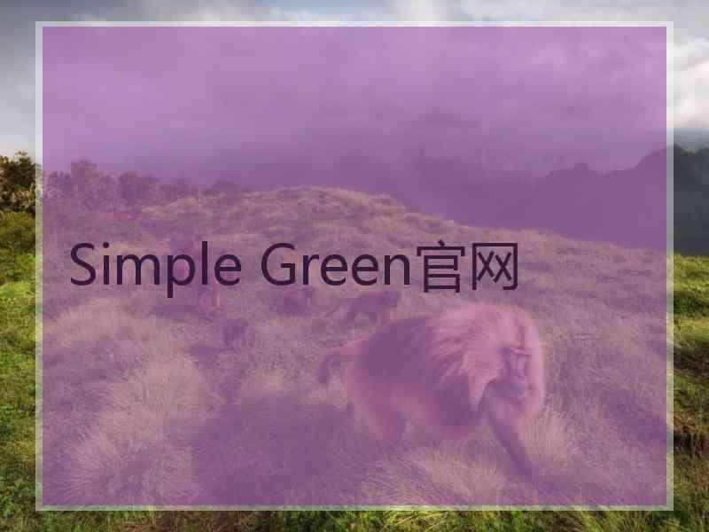 Simple Green官网