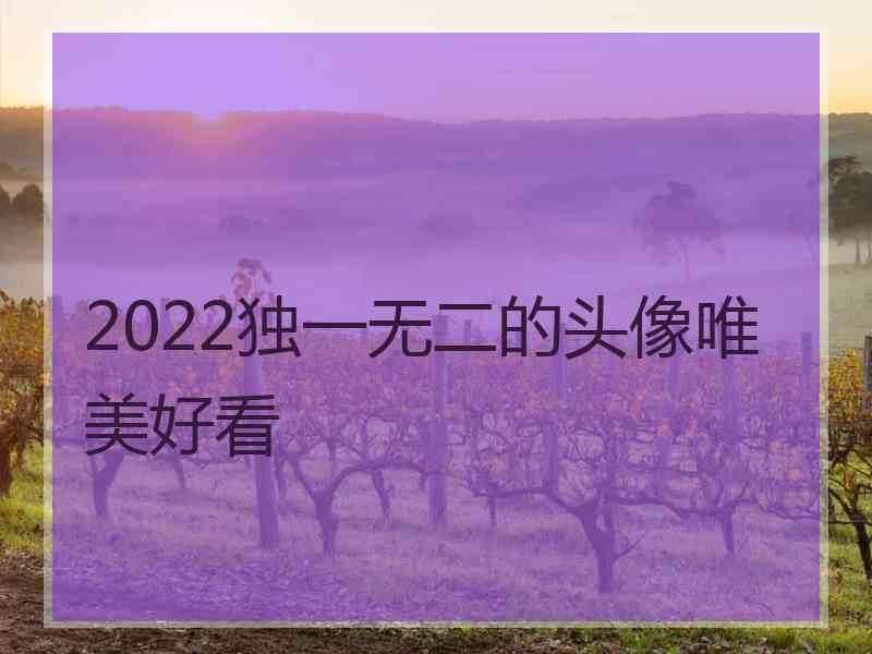 2022独一无二的头像唯美好看