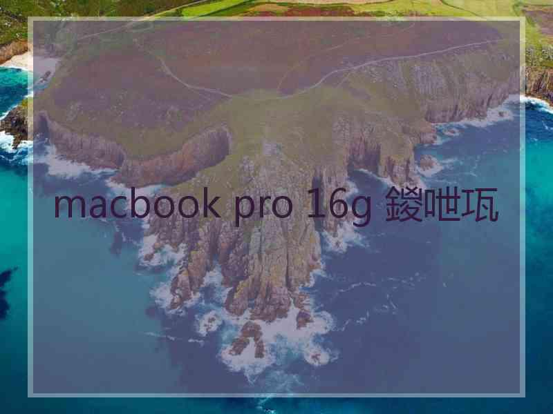 macbook pro 16g 鍐呭瓨