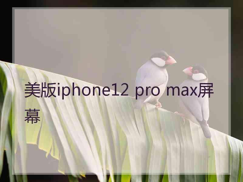 美版iphone12 pro max屏幕