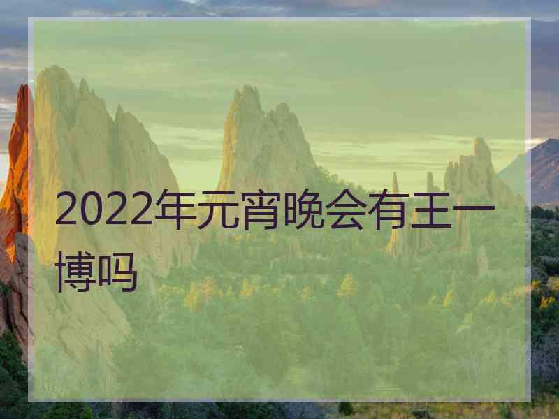 2022年元宵晚会有王一博吗