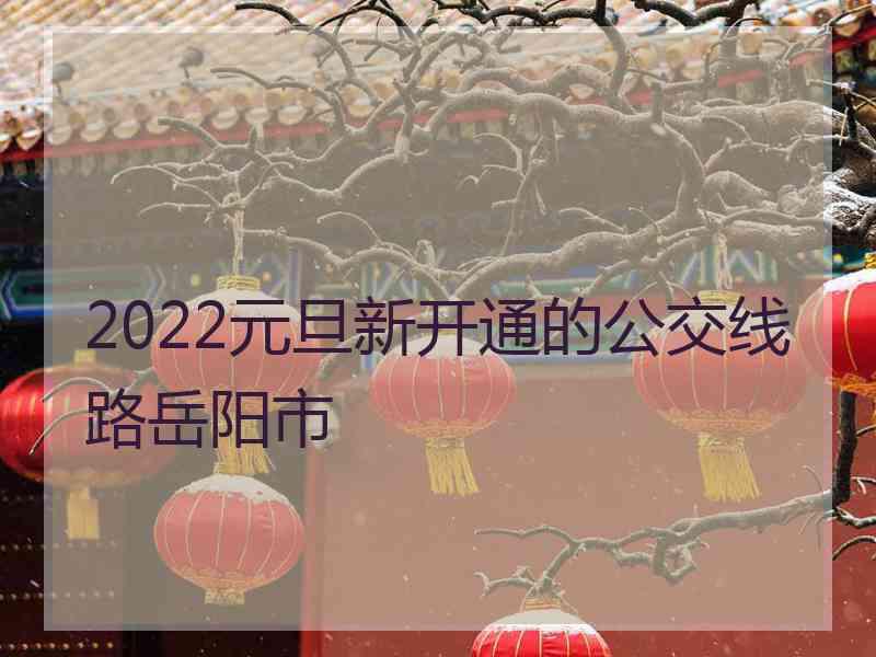 2022元旦新开通的公交线路岳阳市