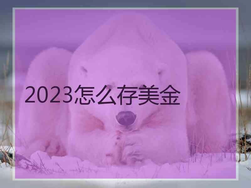 2023怎么存美金