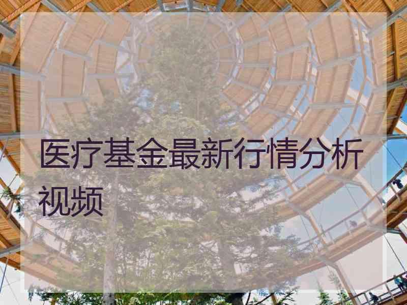 医疗基金最新行情分析视频