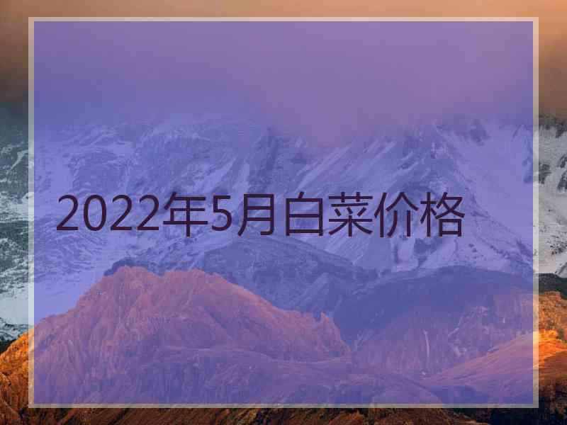 2022年5月白菜价格