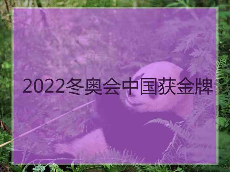 2022冬奥会中国获金牌