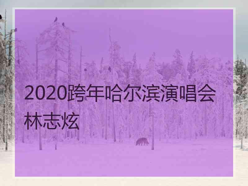 2020跨年哈尔滨演唱会林志炫