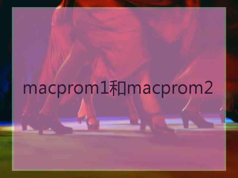 macprom1和macprom2