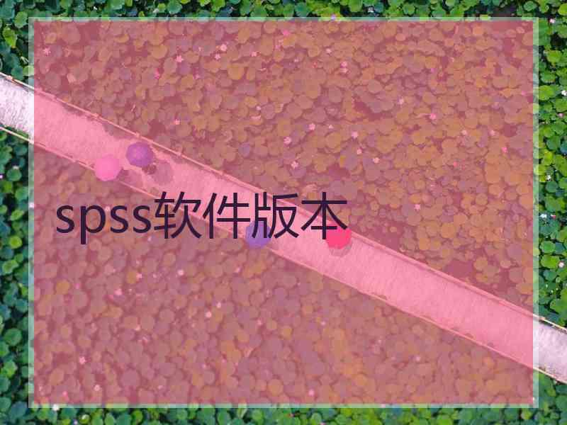 spss软件版本