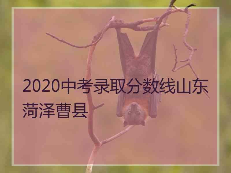 2020中考录取分数线山东菏泽曹县