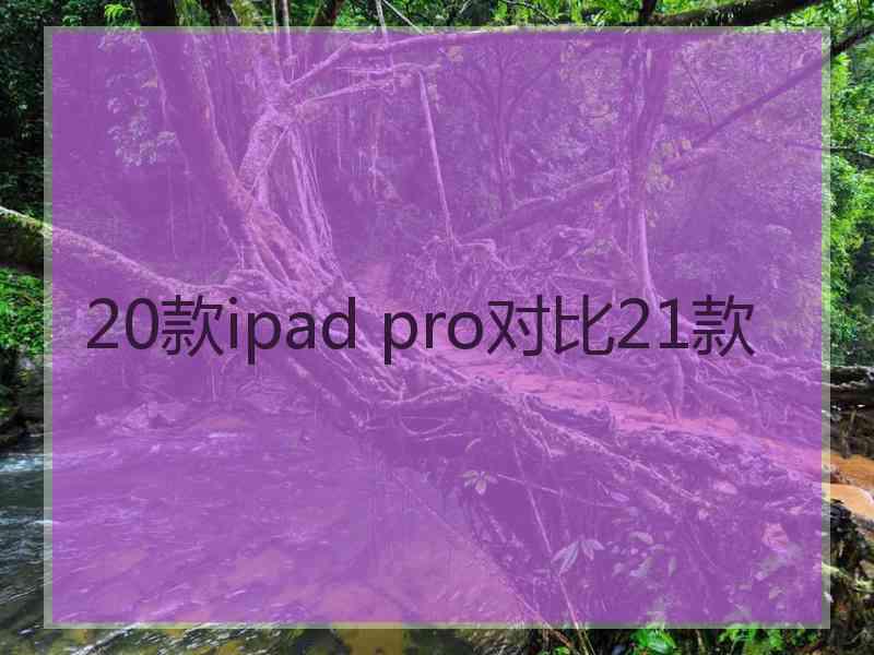 20款ipad pro对比21款