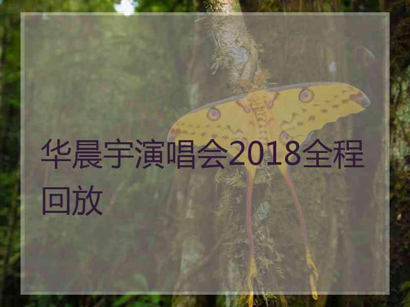 华晨宇演唱会2018全程回放