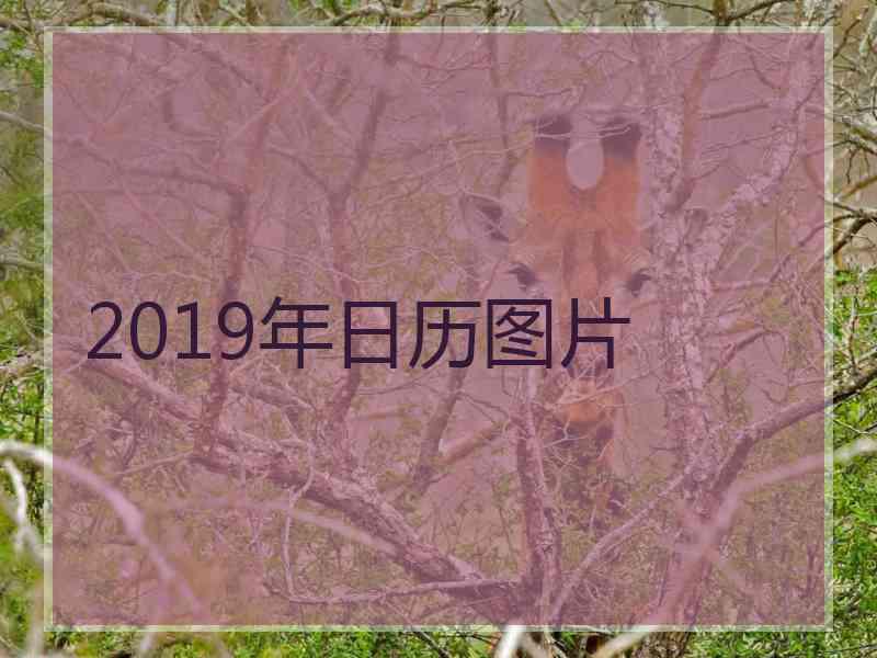 2019年日历图片