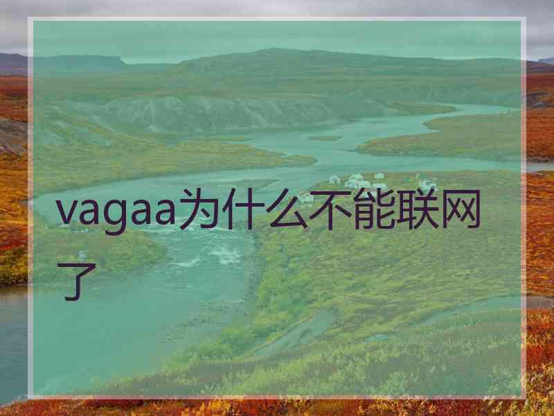 vagaa为什么不能联网了