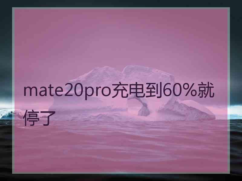 mate20pro充电到60%就停了