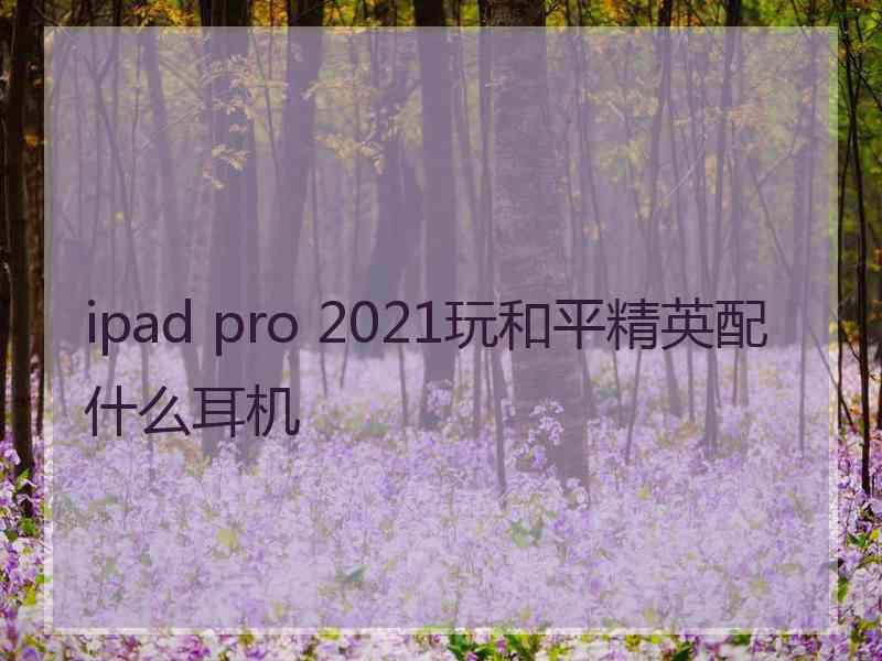 ipad pro 2021玩和平精英配什么耳机