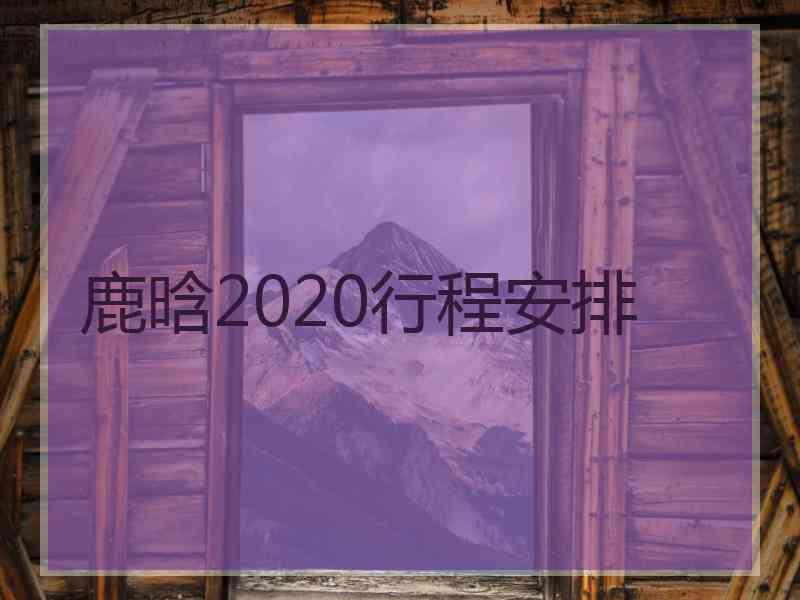 鹿晗2020行程安排