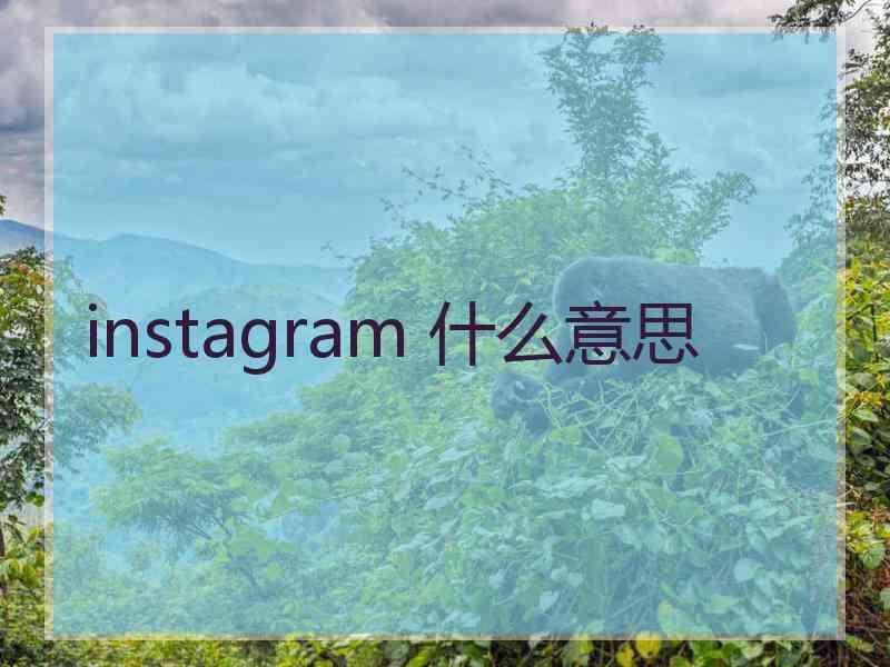 instagram 什么意思