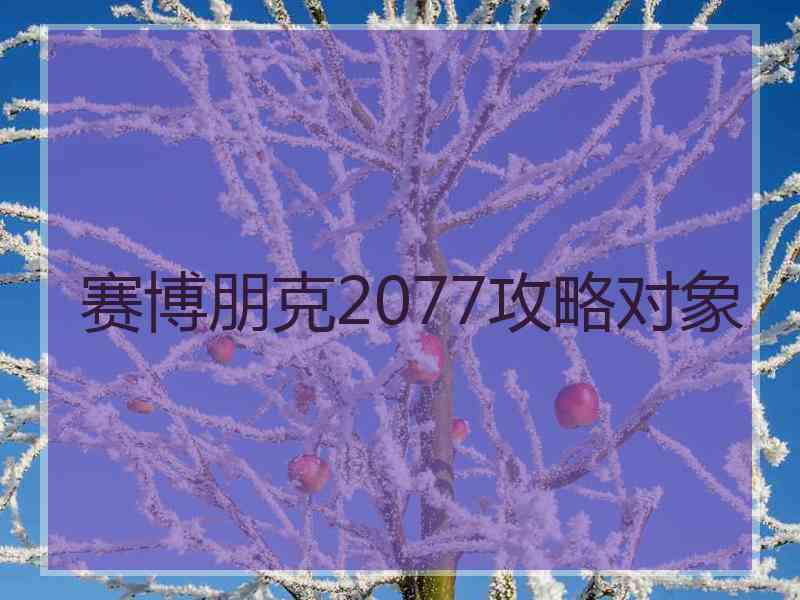 赛博朋克2077攻略对象