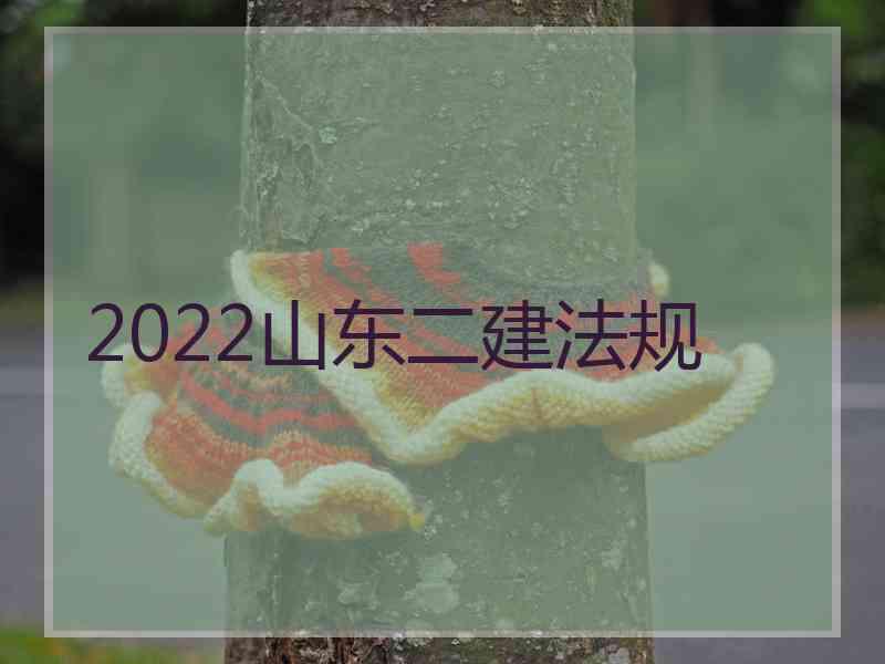 2022山东二建法规