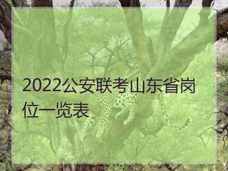 2022公安联考山东省岗位一览表