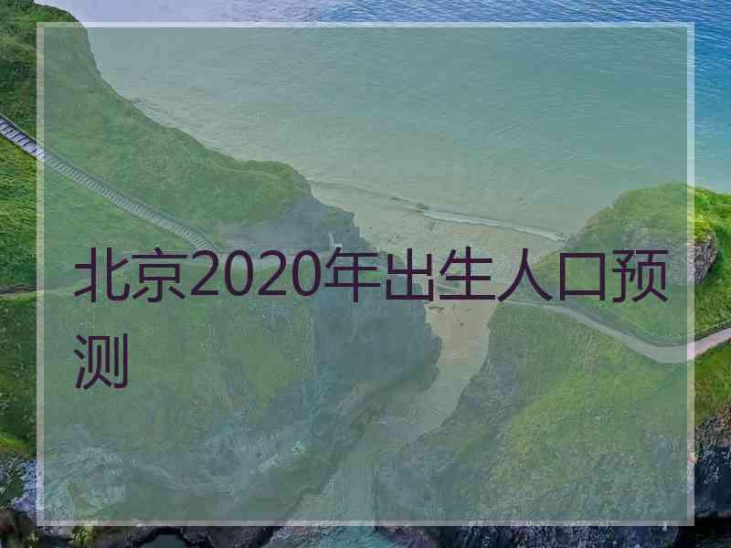 北京2020年出生人口预测