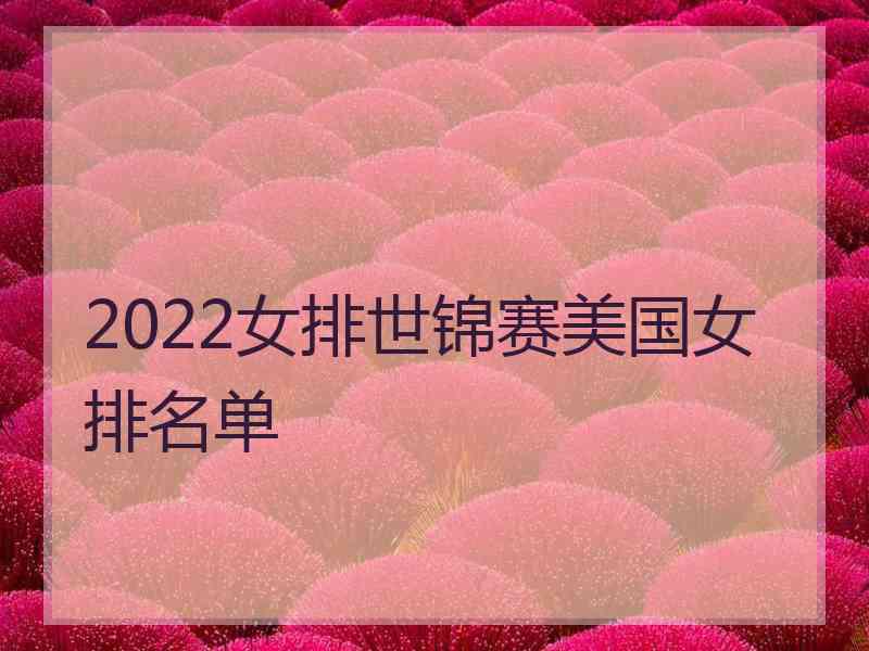 2022女排世锦赛美国女排名单