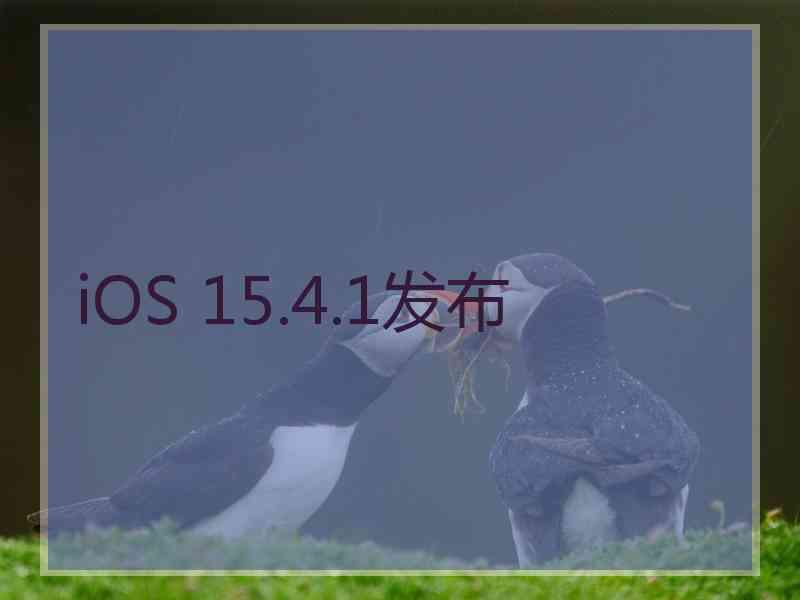 iOS 15.4.1发布